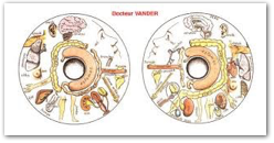 iridiologie