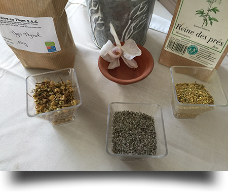 Phytotherapie